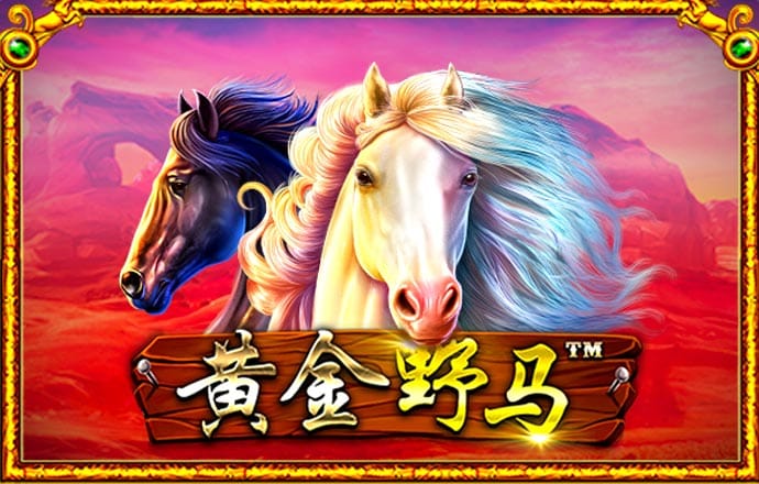 金年会