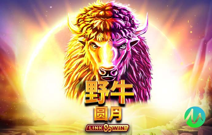 中欧体育